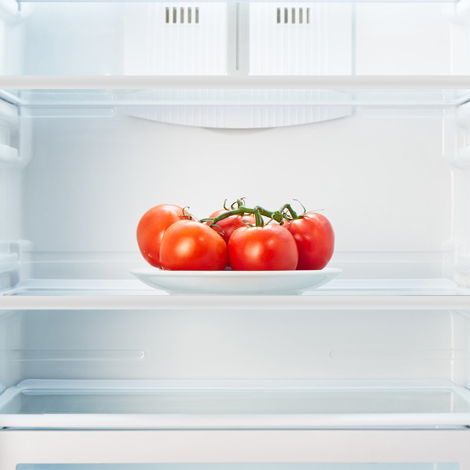 강화 유리 냉장고 칸막이 선반 튼튼한 녹 방지 냉장고  - Food Storage Dividers 리뷰 및 가격