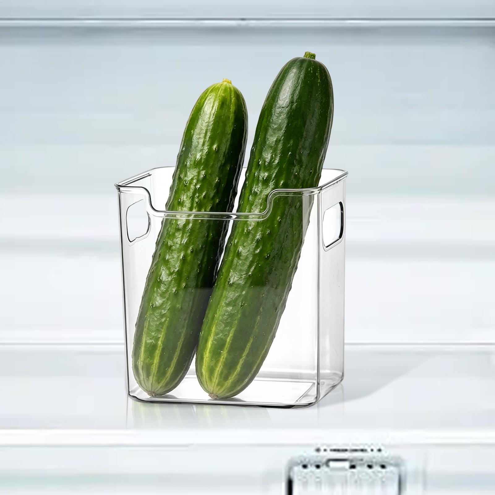손잡이가 있는 냉장고 수납함, 투명 도어 컨테이너, 주 - Food Storage Handling 리뷰 및 가격
