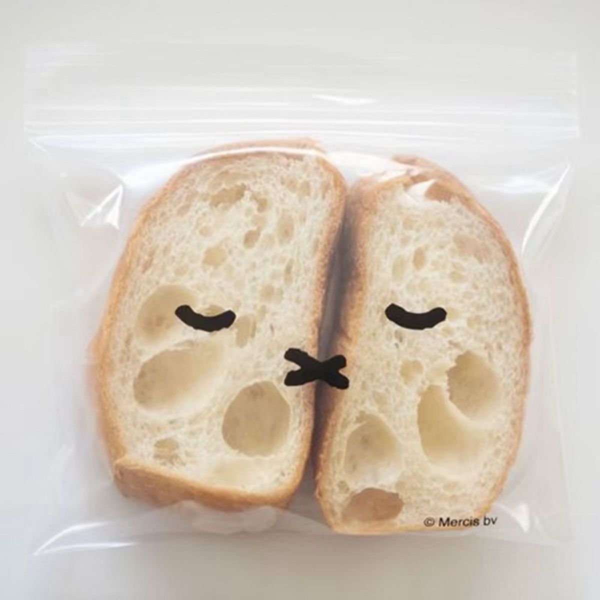 신선도 유지 보관백 식품 밀봉 파우치 냉장고 정리용 칸 - Food Storage Dividers 리뷰 및 가격
