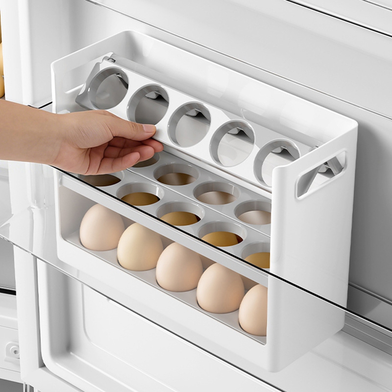 DT39 접이식 계란 보관함 (냉장고 측면 도어용) 3 - Egg Storage Holder 리뷰 및 가격