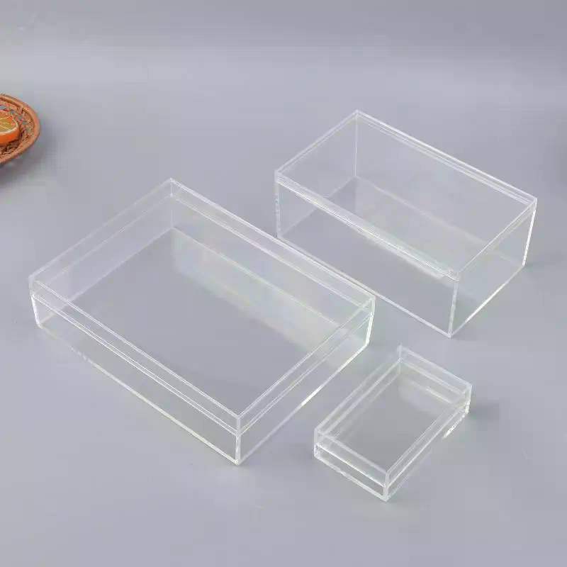 새로운 두꺼운 직사각형 아크릴 보관함 높은 투명도 식품 - Food Storage In Plants 리뷰 및 가격
