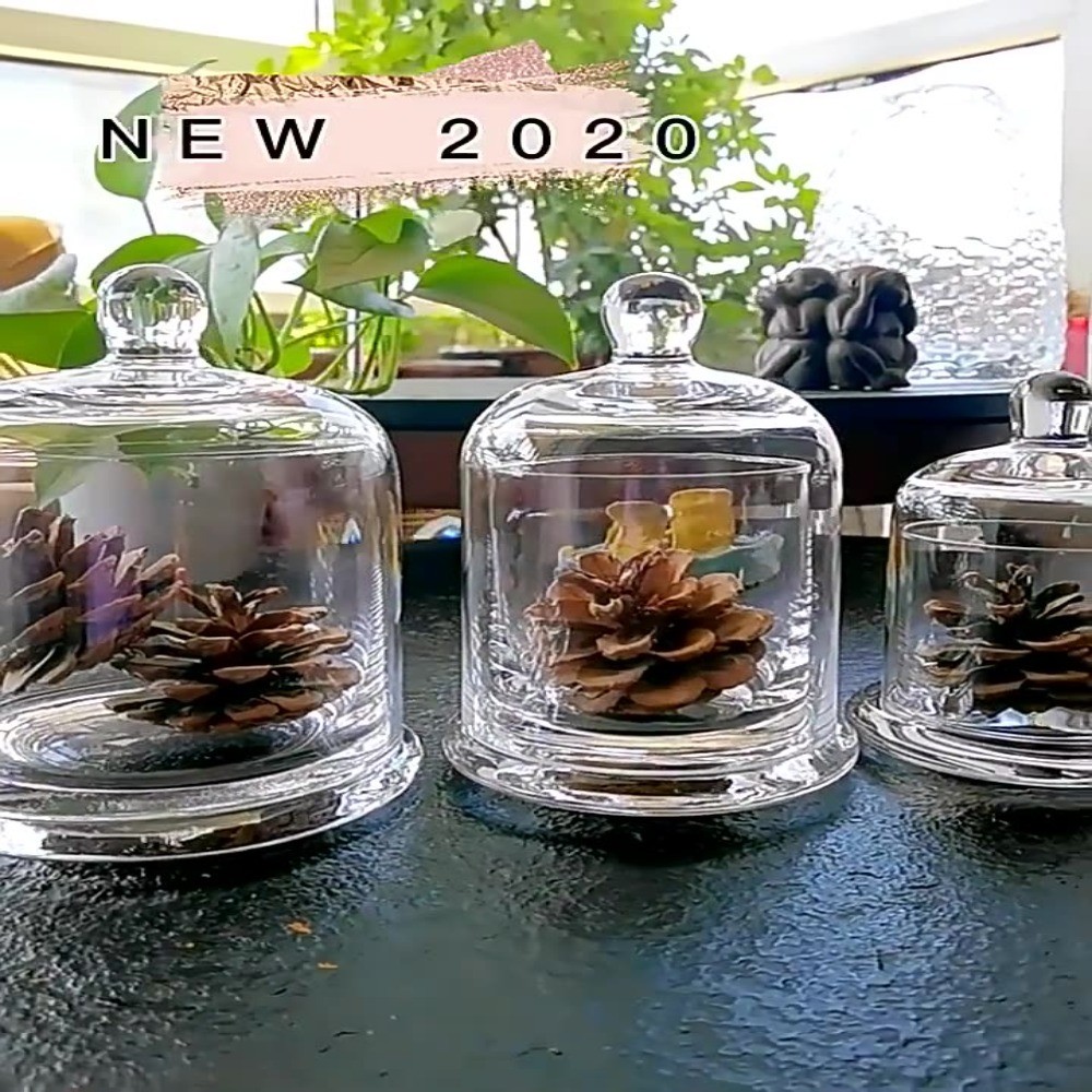 유리 보관 용기, 영원한 생명의 꽃, 8가지 색상, 아 - Food Storage In Plants 리뷰 및 가격