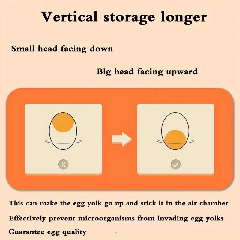 주방 계란 보관함 2단 서랍형 냉장고 신선 보관함 대용 - Egg Storage Holder 리뷰 및 가격